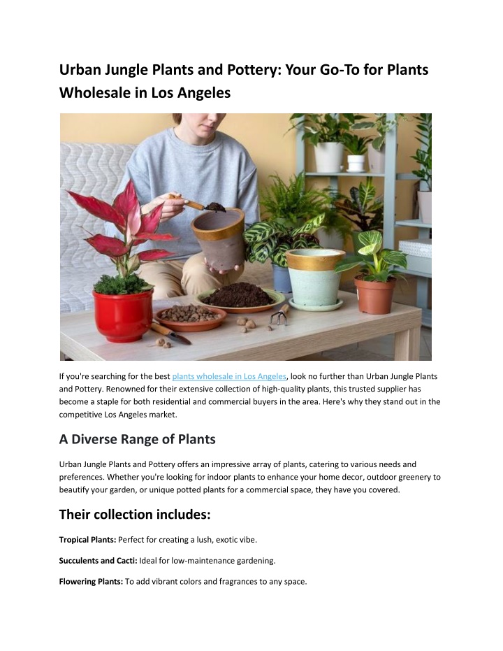 urban jungle plants and pottery your