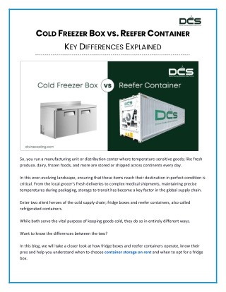 Cold Freezer Box vs. Reefer Container - Key Differences Explained