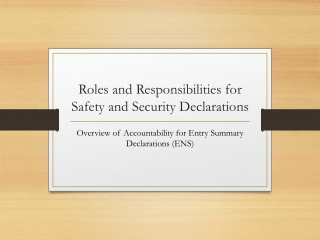 Roles and Responsibilities for Safety and Security Declarations