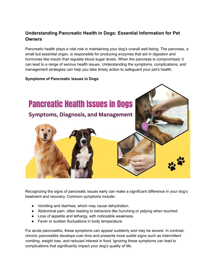 understanding pancreatic health in dogs essential