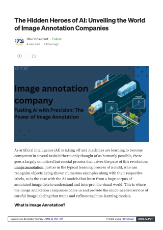 The Hidden Heroes of AI Unveiling the World of Image Annotation Companies