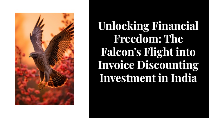 unlocking financial freedom the falcon s flight