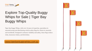explore top quality buggy whips for sale tiger