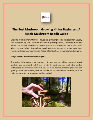 The Best Mushroom Growing Kit for Beginners A Magic Mushroom Reddit Guide