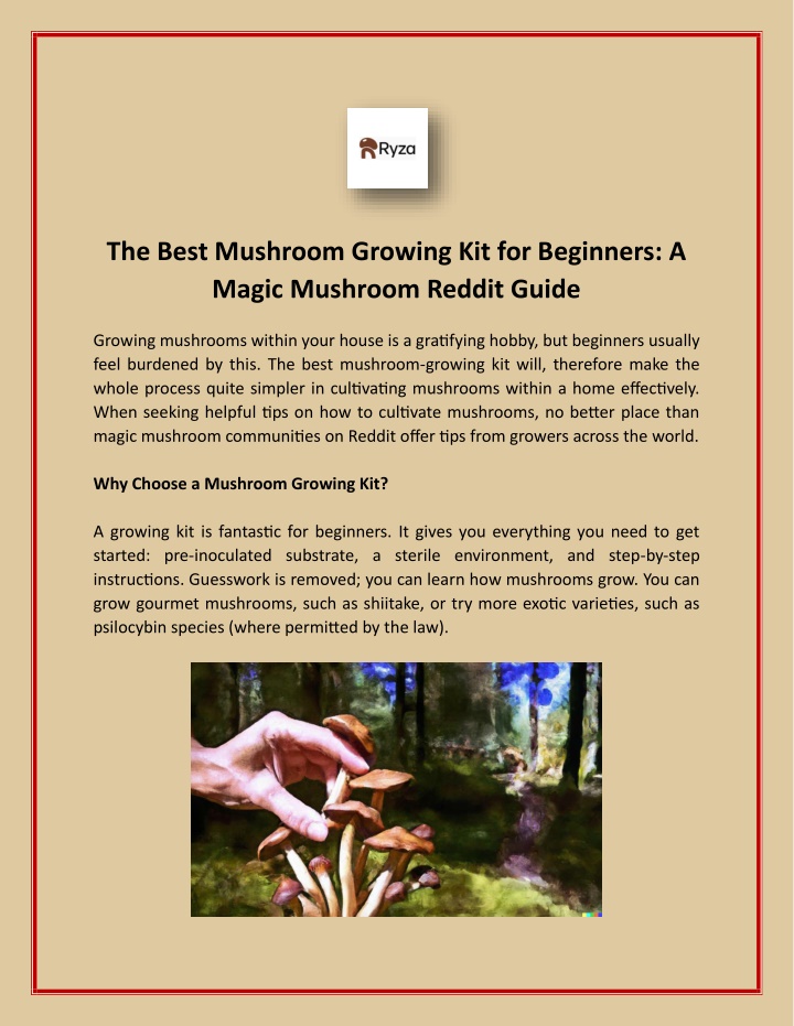 the best mushroom growing kit for beginners