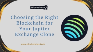 Choosing the Right Blockchain for Your Jupiter Exchange Clone