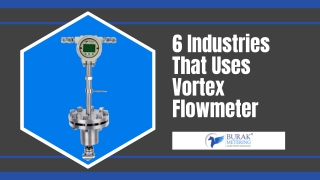 Industries That Uses Vortex Flowmeter