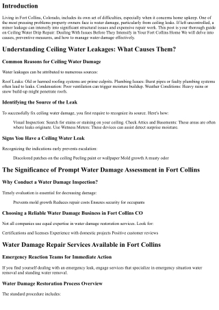 Ceiling Water Leak Repair Work: Mending Issues Before They Escalate in Your Fort