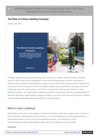 The Role of a Data Labeling Company