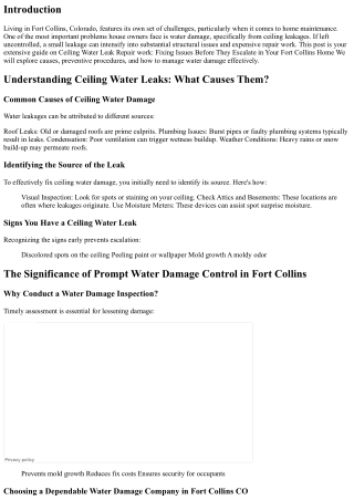 Ceiling Water Drip Repair: Dealing With Issues Before They Intensify in Your For