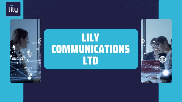 lily ltd