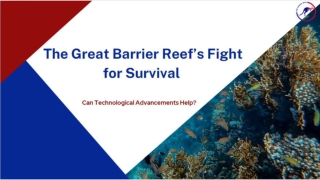 The Great Barrier Reef’s Fight for Survival: Can Technological Advancements Help