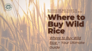 Where to Buy Wild Rice – Best Deals on Nutritious Wild Rice