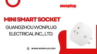 Mini Smart Socket - Wonplug.com