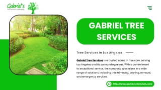 Gabriel Tree Service in Los Angeles