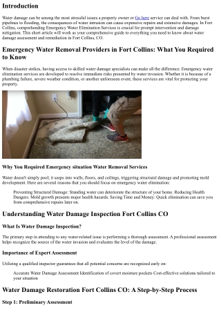 Emergency Situation Water Removal Solutions in Fort Collins: What You Need to Kn