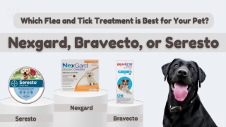 Flea and Tick Treatments: Nexgard, Bravecto, or Seresto?