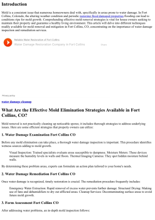 Reliable Mold Elimination Strategies Readily Available in Fort Collins, CO .