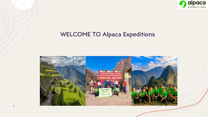 welcome to alpaca expeditions