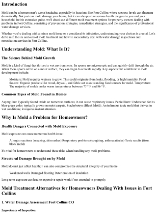 Mold Treatment Choices for Homeowners Dealing With Issues in Fort Collins
