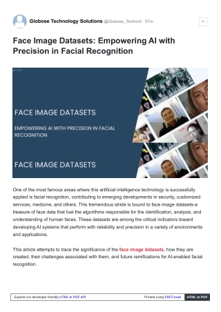 Face Image Datasets, Empowering AI with Precision in Facial Recognition