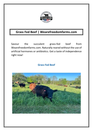 grass fed beef wearefreedomfarms com