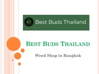 Explore Bangkok’s Premier Cannabis Destination