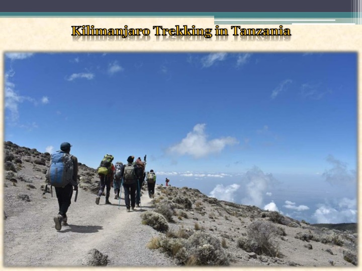 kilimanjaro trekking in tanzania