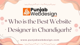 who is the best website designer in chandigarh