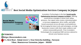 Best Social Media Optimization Services Company in Jaipur – Acemakers Technologies