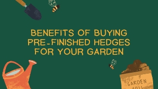 Buying Pre-Finished Hedges for Your Garden