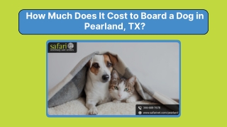 How Much Does It Cost to Board a Dog in Pearland, TX