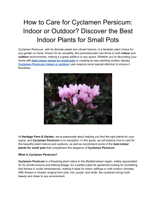 How to Care for Cyclamen Persicum_ Indoor or Outdoor