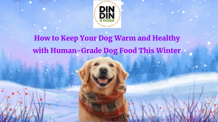 how to keep your dog warm and healthy