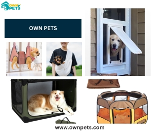Collapsible Dog Crate: Convenient, Space-Saving Comfort for Your Pet