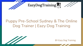 Puppy Pre-School Sydney & The Online Dog Trainer _ Eazy Dog Training