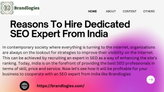 Hire Dedicated SEO Expert for Your Business |Brandlogies