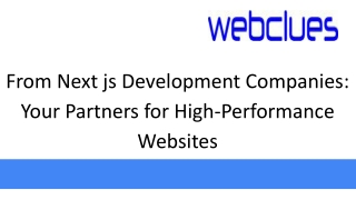 from next js development companies your partners