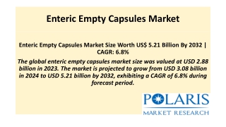 Enteric Empty Capsules Market