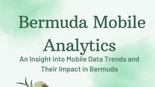 Bermuda Mobile Analytics