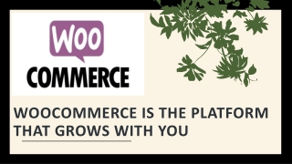 woocommerce is the platform that grows with you