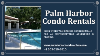 Palm Harbor Vacation Rentals