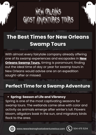 Experience the Thrills of New Orleans Swamp Tours