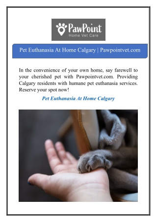 Pet Euthanasia At Home Calgary | Pawpointvet.com