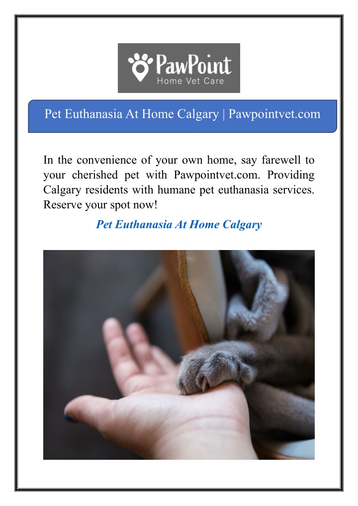 pet euthanasia at home calgary pawpointvet com