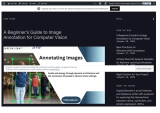 A Beginner’s Guide to Image Annotation for Computer Vision