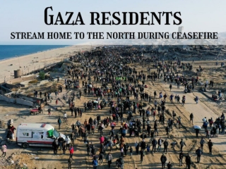 Gaza residents stream home to the north during ceasefire