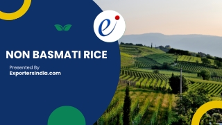 Non-Basmati Rice: High-Quality Varieties at ExportersIndia