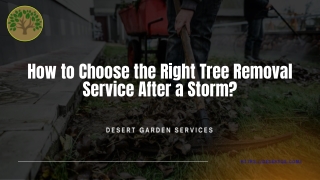 How to Choose the Right Tree Removal Service After a Storm