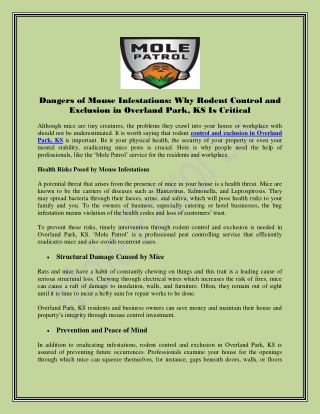 dangers of mouse infestations why rodent control